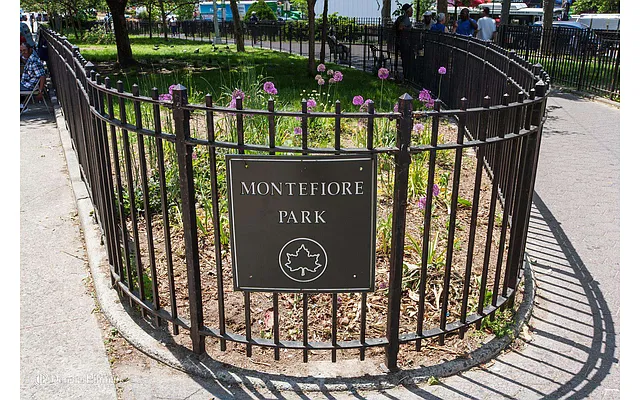 Rented by Douglas Elliman | media 15