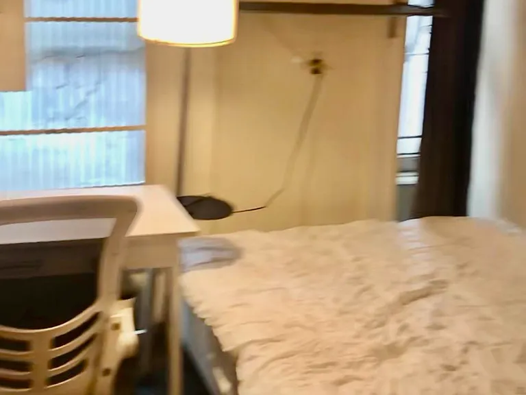 916 3rd Ave #3B — Photo 8