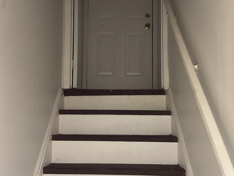 117 English Oak Dr #BSMNT — Photo 4