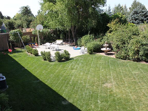 Backyard 1