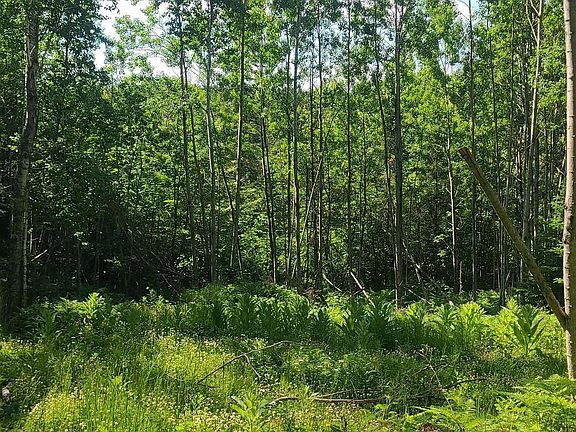 4th image of 59XX Tri-Lakes Rd