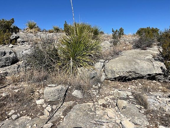 5th image of 23 Timber Point Rd #23