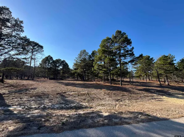 3135 Shadow Pine Dr, Larue, TX 75770