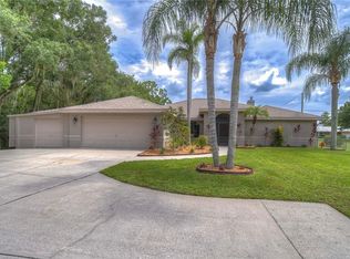 21910 Hale Rd, Land O Lakes, FL 34639