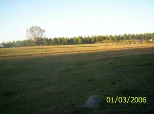 Swamp Drive, Groveland, FL 34736