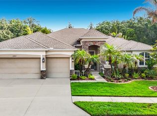 15401 Azra Dr, Odessa, FL 33556