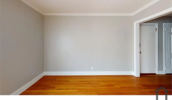 1 bed, 800 sqft, $1,250 — Photo 3