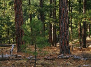 222 E Forest Service Rd #52B, Prescott, AZ 86303