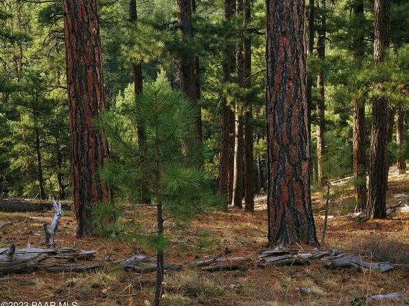 222 E Forest Service Rd #52B, Prescott, AZ 86303