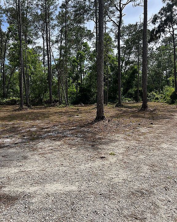 Home-site, partial view 3