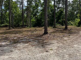 4108 Budd Rd, New Smyrna Beach, FL 32168