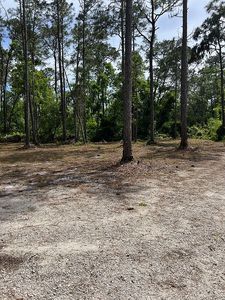 4108 Budd Rd, New Smyrna Beach, FL, 32168