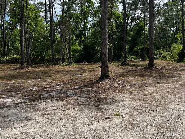 4108 Budd Rd, New Smyrna Beach, FL 32168