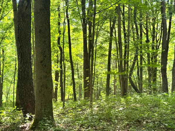 1.5 Wart Rd #5, Lacona, NY 13083