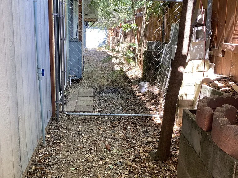 Saint Patricks Ave — Photo 27