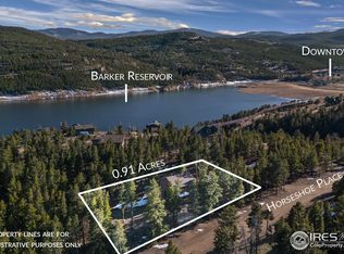 477 Horseshoe Pl, Nederland, CO 80466