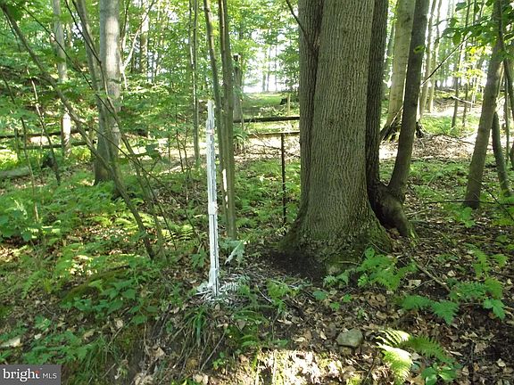 5th image of 62 Hunters Ln