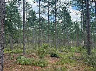 Beaver Creek Rd #1, Swansea, SC 29160