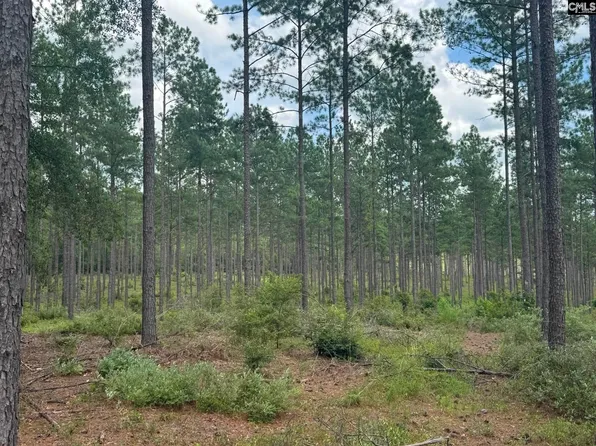 Beaver Creek Rd #1, Swansea, SC 29160