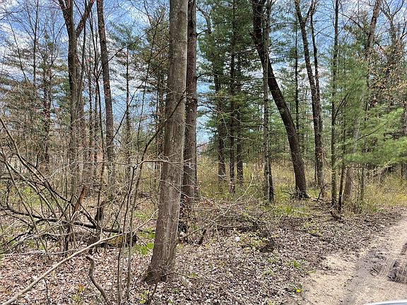 4th image of 8644 Mackinaw Trail Dr