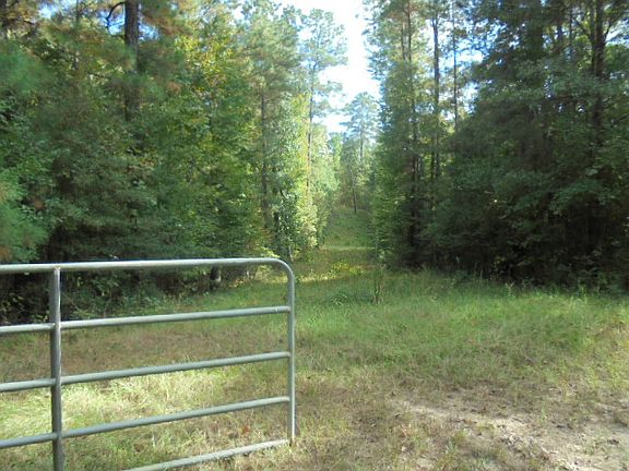 2nd image of County Road 2082