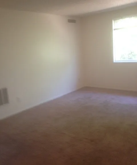 4 Birch Ct #5 — Photo 7