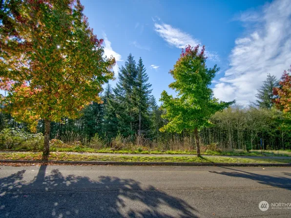 124 Sequoia Lane, Onalaska, WA 98570