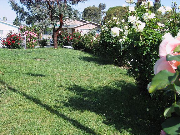 Front Yard View from Applewood looking towards Cherrywood
