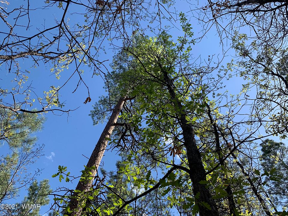 1st image of 1750 E Gobbler Peak Ln