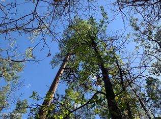 1750 E Gobbler Peak Ln, Pinetop, AZ 85935