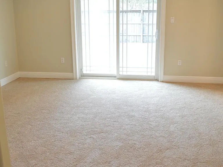 14105 Bayou Grand North Blvd — Photo 7