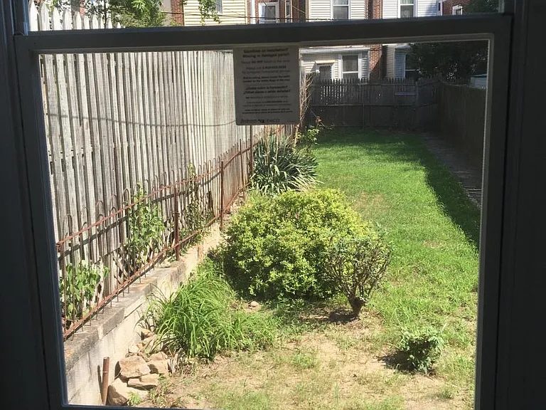 Back yard