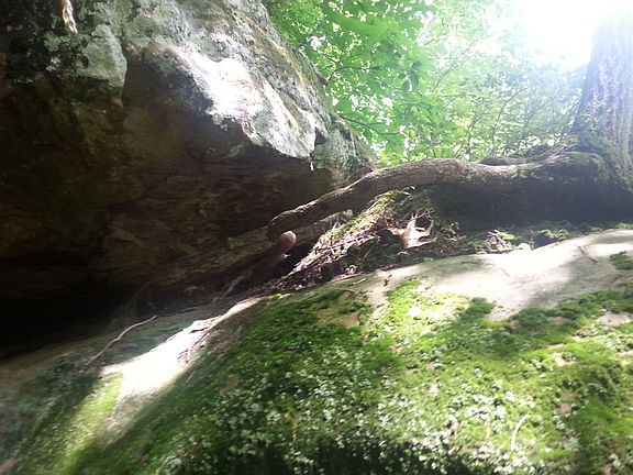 3rd image of 0 State Route 144 #0