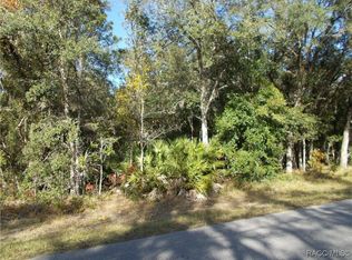 3055 W Viking Ln, Citrus Springs, FL 34433