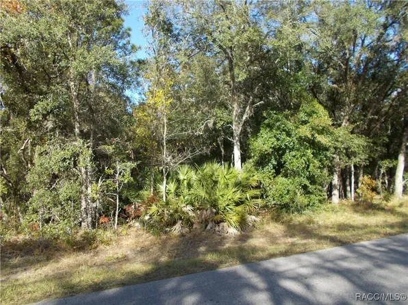 3055 W Viking Ln, Citrus Springs, FL 34433