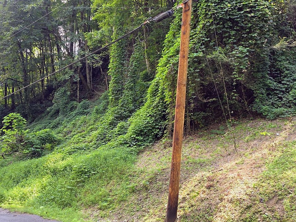 1st image of 39 Black Walnut Flats Rd Lot 39