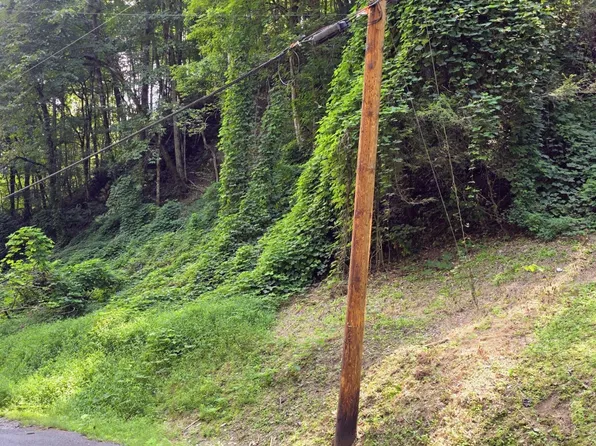 39 Black Walnut Flats Rd Lot 39, Sevierville, TN 37862