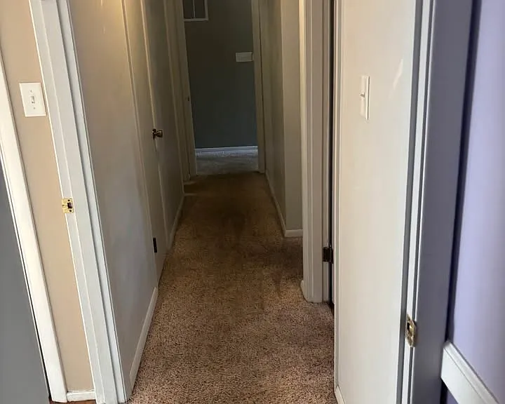 3119 Caroline St — Photo 10