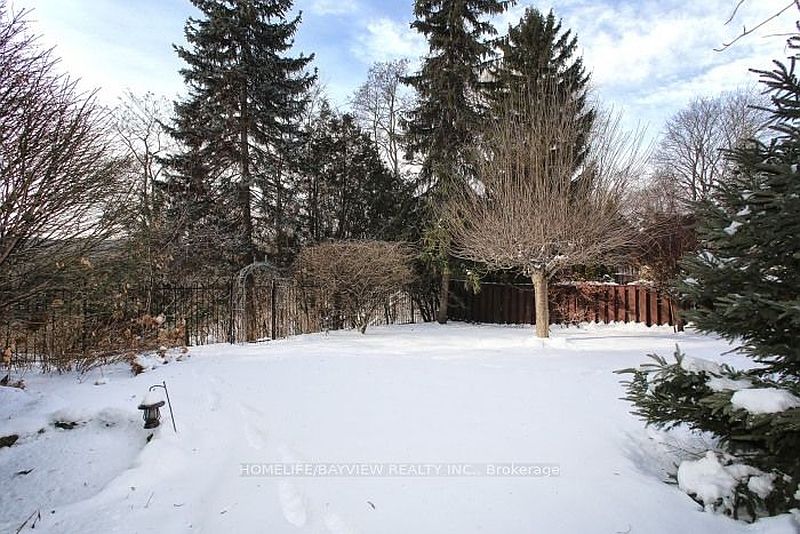 Toronto House for rent - 4 Bedrooms — photo 26