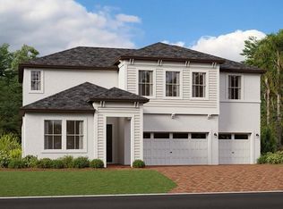 22100 Nebula Way, Land O Lakes, FL 34637