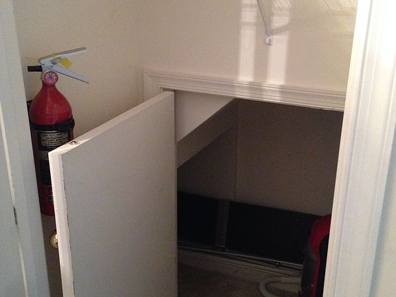 Storage-within-Storage (under stairs)