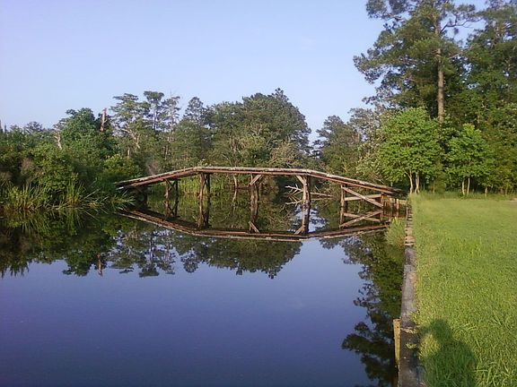 Walk to Dog River