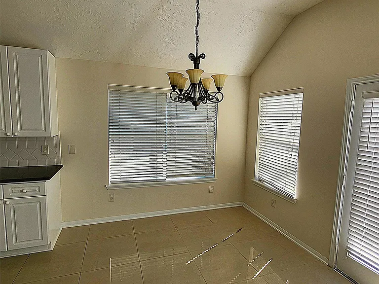 12923 Dove Point Ln — Photo 12