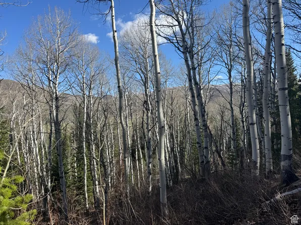 663 Red Fir Way, Oakley, UT 84055