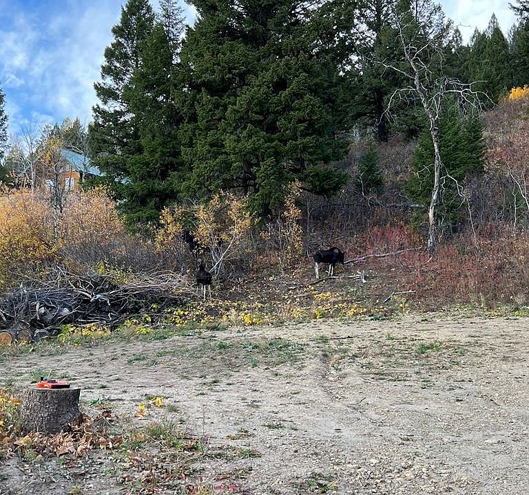 1st image of 5166 Mountain Dr