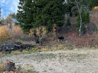 5166 Mountain Dr, Island Park, ID 83429