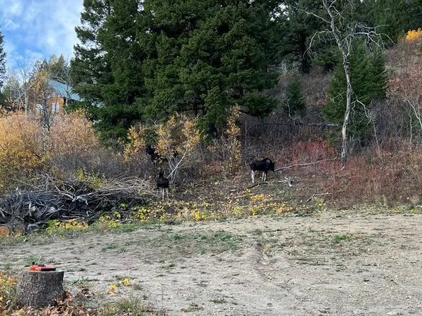 5166 Mountain Dr, Island Park, ID 83429