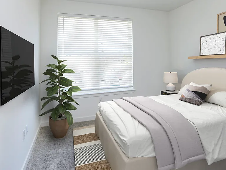 Carpeted Bedroom