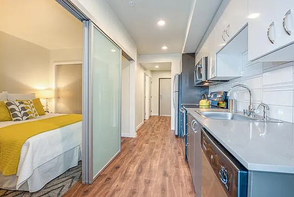 Open 1 Bedroom
