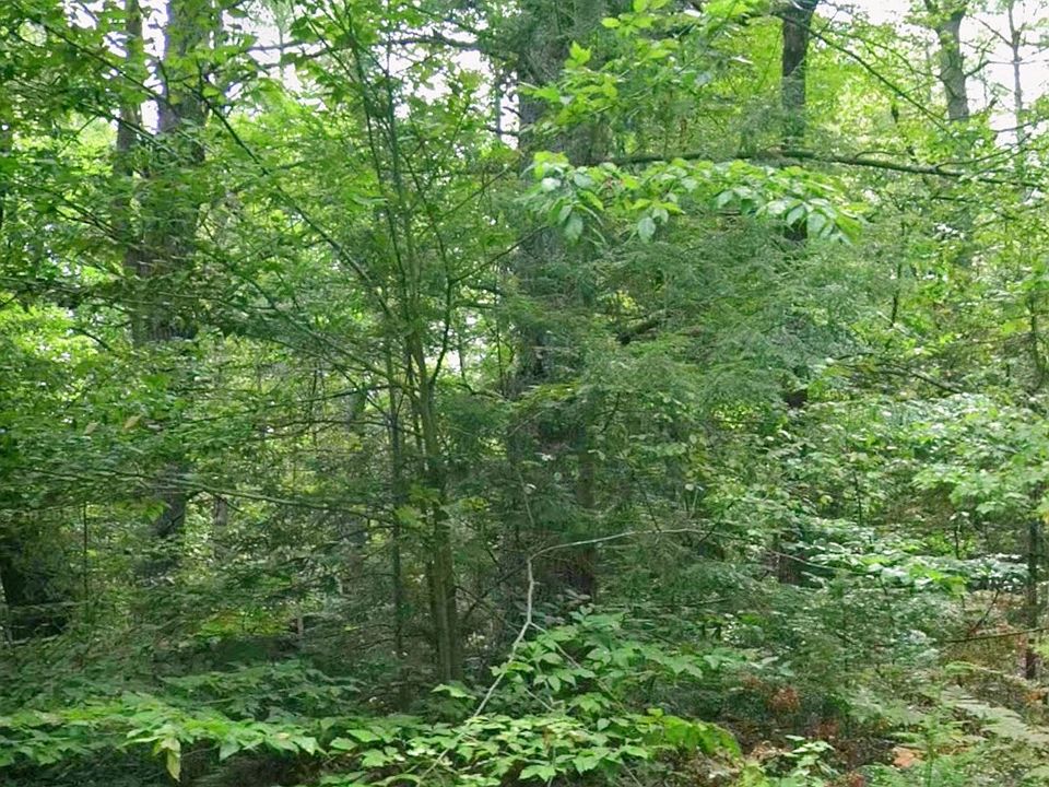 2nd image of 0 Irene St